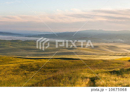Morning fog view on fields Morning fog view on fields 10675068