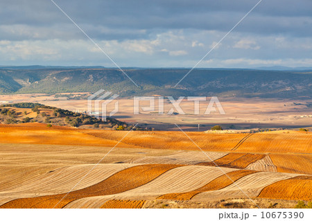 Fields and hills of Spain at winter 10675390