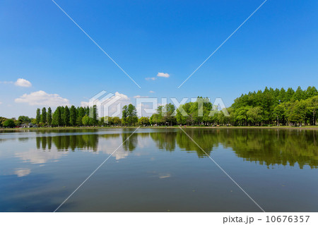 新緑の水元公園と湖面に映える景観 10676357