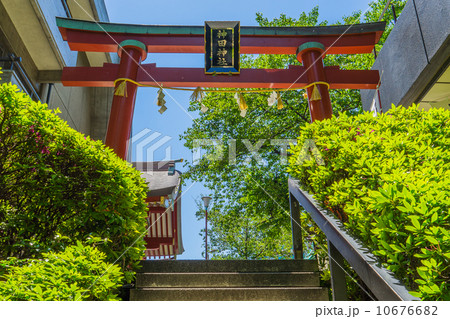 春の神田明神の裏参道の鳥居 春の神田明神の裏参道の鳥居 10676682