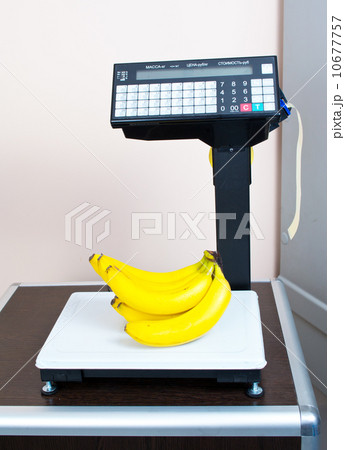 Fresh bananas on the scales in the store Fresh bananas on the scales in the store 10677757