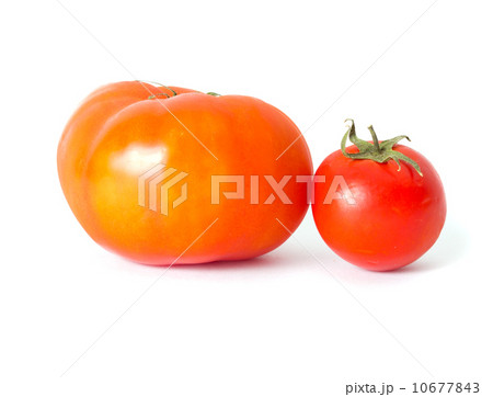 Red tomatoes isolated on a white background Red tomatoes isolated on a white background 10677843