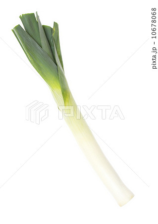Fresh leek on white background Fresh leek on white background 10678068