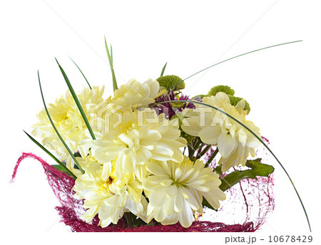 A beautiful bouquet of chrysanthemums on white 10678429