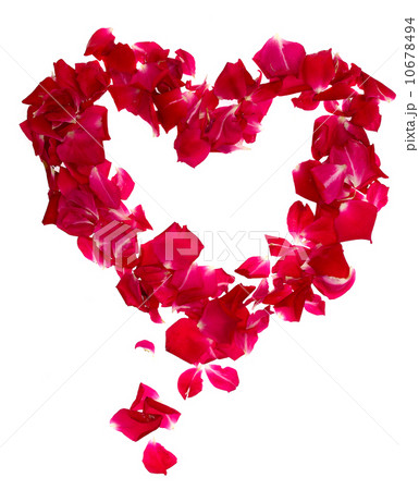 Pink rose petals forming heart on white Pink rose petals forming heart on white 10678494