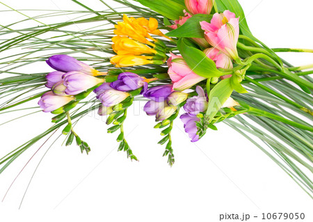 Colorful flowers bouquet isolated on white background. Colorful flowers bouquet isolated on white background. 10679050