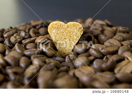 coffee beans, Pots, cinnamon on dark background coffee beans, Pots, cinnamon on dark background 10680148