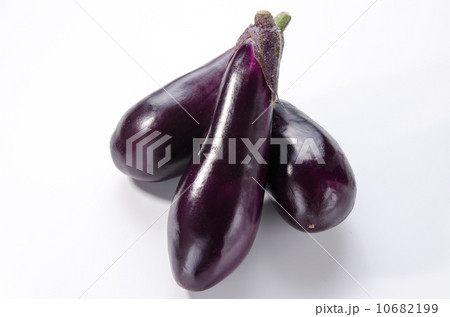茄子 10682199