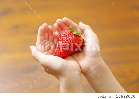子供の手と苺（スカイベリー®） 10683070
