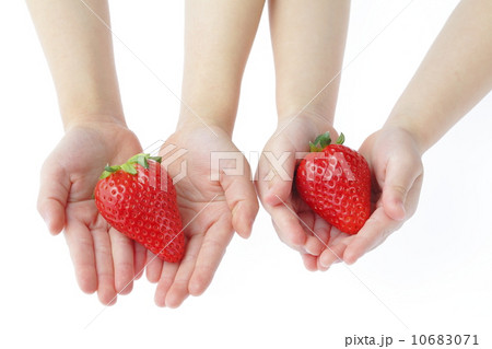 子供の手と苺（スカイベリー®） 10683071