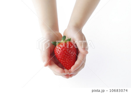 子供の手と苺（スカイベリー®） 10683074