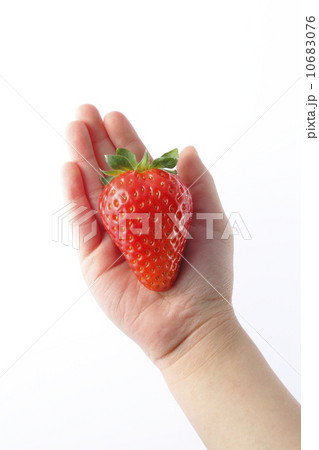 子供の手と苺（スカイベリー®） 10683076