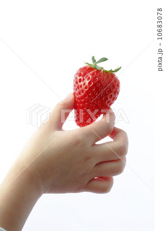 子供の手と苺（スカイベリー®） 10683078