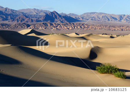 デスバレー国立公園 デスバレー国立公園 10683125