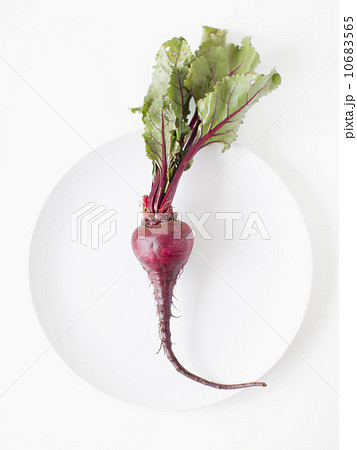 Beetroots on plate, studio shot Beetroots on plate, studio shot 10683565