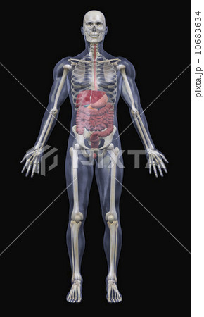 Digitally generated image of standing male likeness Digitally generated image of standing male likeness 10683634