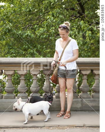 Young woman with dogs on walk 10683665
