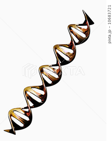 Digitally generated image of double helix 10683721