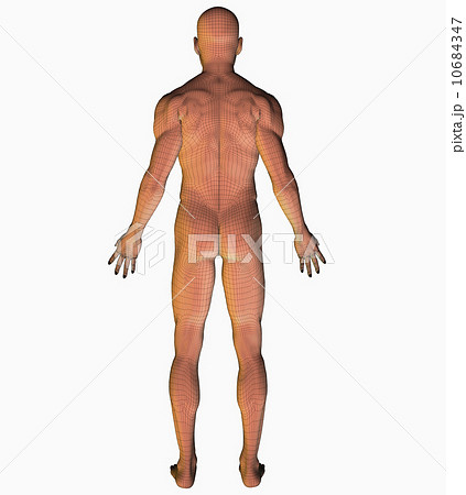 Digitally generated image of human representation 10684347