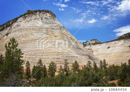 Checkerboard Mesa, Mountains 10684450