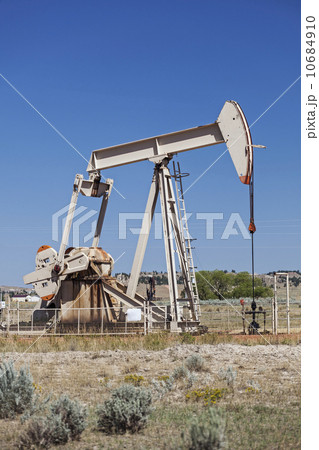 Oil pump Oil pump 10684910
