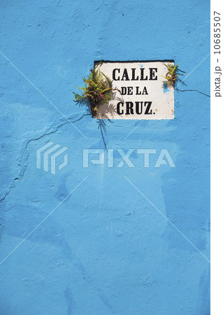 Street sign on wall of building with ferns growing out of it Street sign on wall of building with ferns growing out of it 10685507