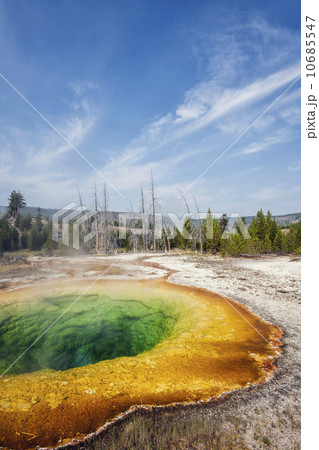 Morning Glory Pool 10685547