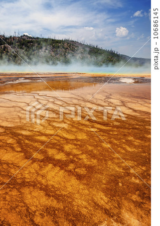 Midway Geyser Basin Grand Prismatic Spring 10686145