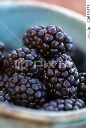 Detail of blackberries in bowl 10686478