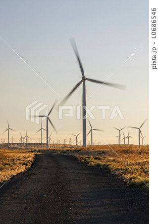 Wind turbines in field  10686546