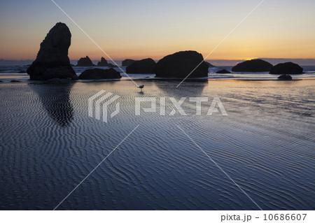 Silhouette of stack rock on beach 10686607