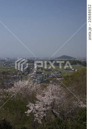 甘橿丘遠望 10688652