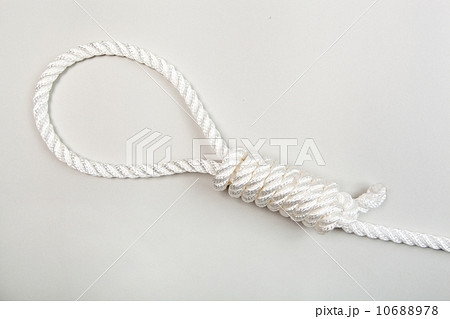 Nylon rope with hangman knot on a grey background Nylon rope with hangman knot on a grey background 10688978