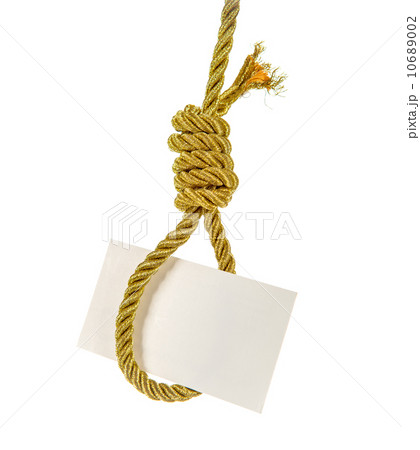 White card hanging on hangman noose White card hanging on hangman noose 10689002