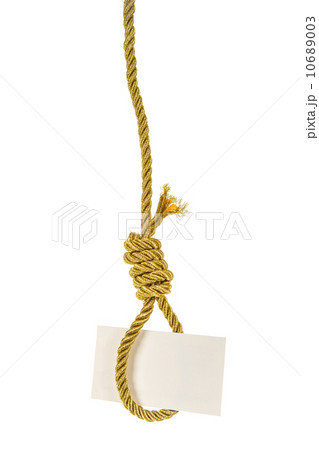 White card hanging on hangman noose 10689003