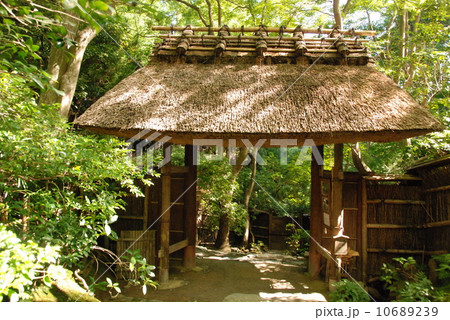 祇王寺（京都市右京区嵯峨鳥居本小坂） 10689239