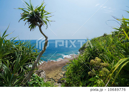 沖縄の海 沖縄の海 10689776