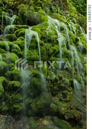 垣花樋川(かきのはなひーじゃー) 垣花樋川(かきのはなひーじゃー) 10689792