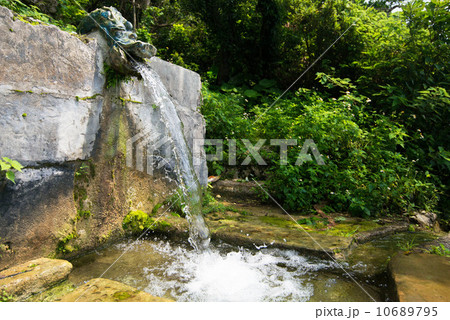 沖縄の風景・垣花樋川（かきのはなひーじゃー） 10689795