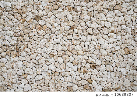 琉球石灰岩の写真素材 [10689807] - PIXTA