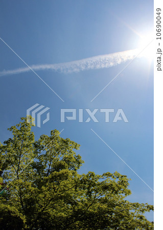 青空　ひこうき雲 10690049