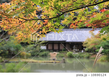 浄瑠璃寺の本堂（国宝） 10690124