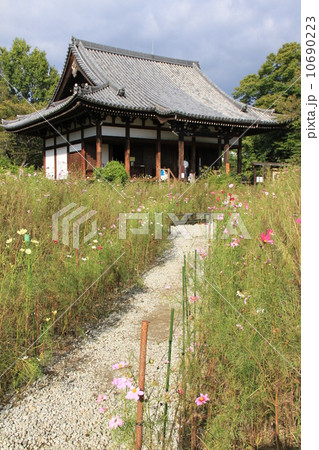 般若寺 10690223