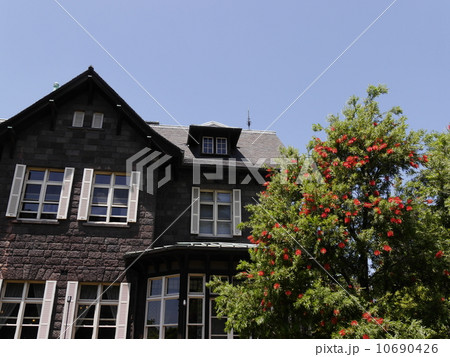 旧古河邸 10690426