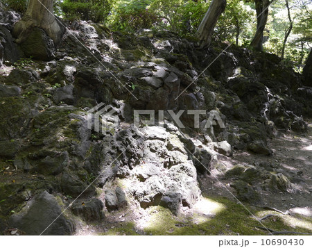 旧古河邸の日本庭園 10690430