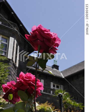 旧古河邸 10690435