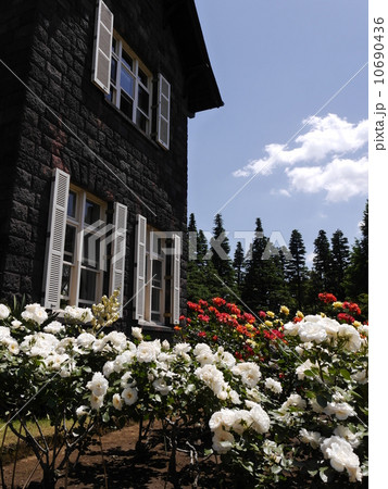 旧古河邸 10690436