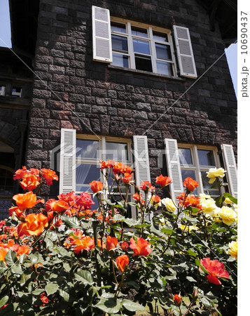 旧古河邸 10690437