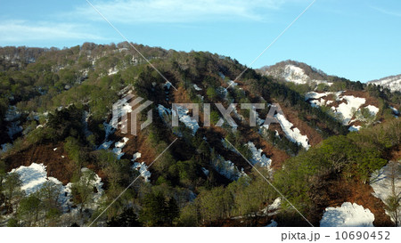 新緑と残雪 10690452