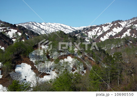 新緑と残雪 10690550